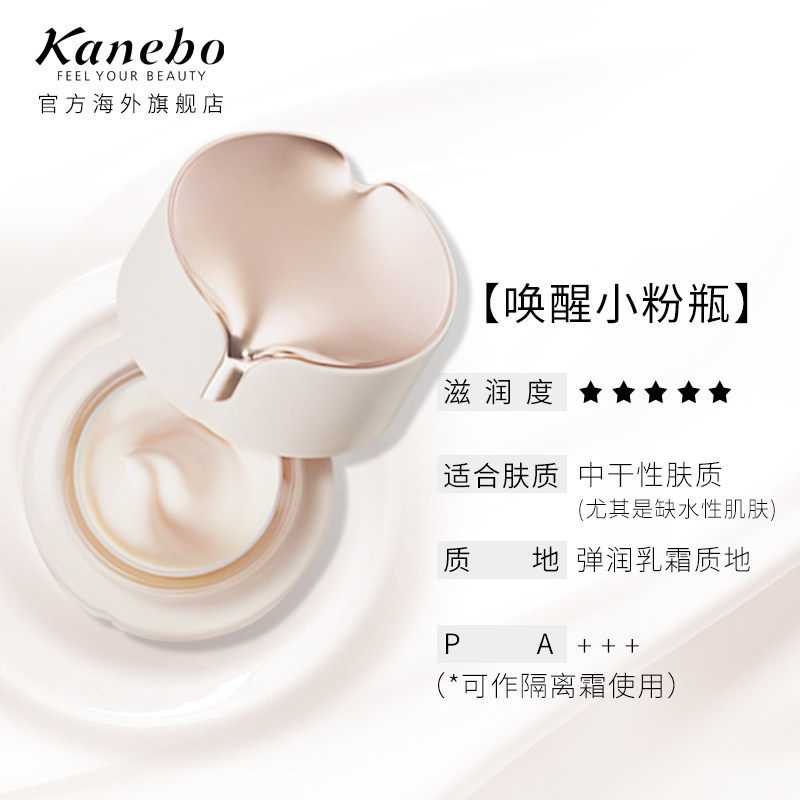  kanebo海外面部护理套装
