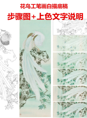 工笔画白描底稿上色说明步骤图
