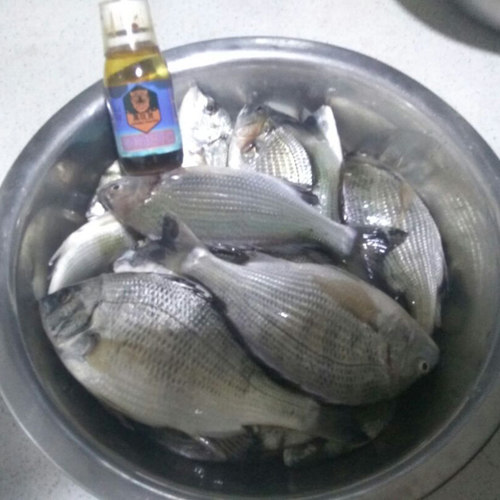 海钓专用诱鱼剂浓腥味鲈鱼路亚小药添加剂黑鲷打窝料梭鲻鱼面饵料 - 图0