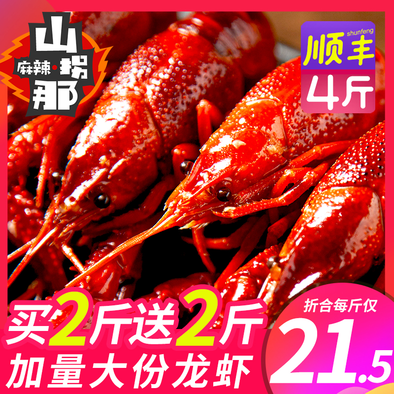 山拐那旗舰店【买2斤送2斤】山拐那麻辣小龙虾即食盒装十三香蒜蓉香辣熟食鲜活1