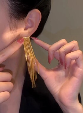 气质长款流苏耳环高级感轻奢耳饰