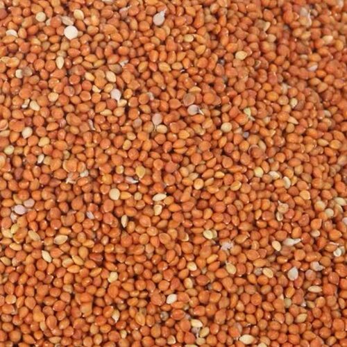 鹦鹉鸟粮玄凤牡丹虎皮鸟食谷子瓜子亚麻子黍子加纳利子混合粮半斤 - 图1
