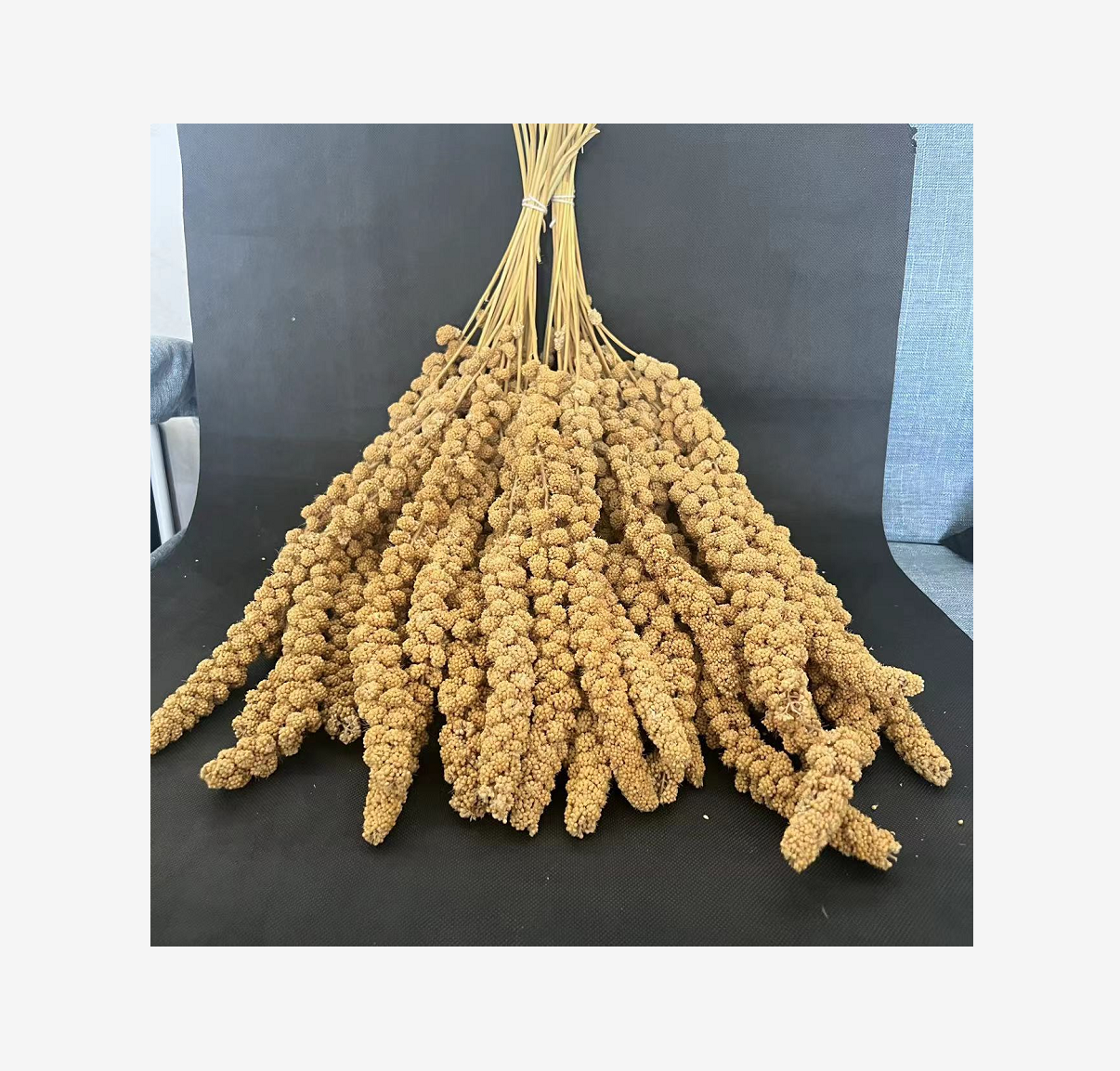 2025谷穗黄小米穗鹦鹉小鸟零食仓鼠玄风牡丹虎皮仓鼠金丝雀断奶,淘宝优惠券,粉丝福利购,淘宝优惠卷