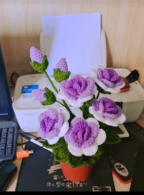 成品手工diy编织玫瑰花盆栽居家装饰情人节礼物毛线钩织创意摆
