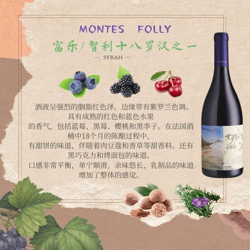 蒙特斯红酒葡萄酒智利进口富乐folly家族珍藏紫天使官方旗舰店 - 图3