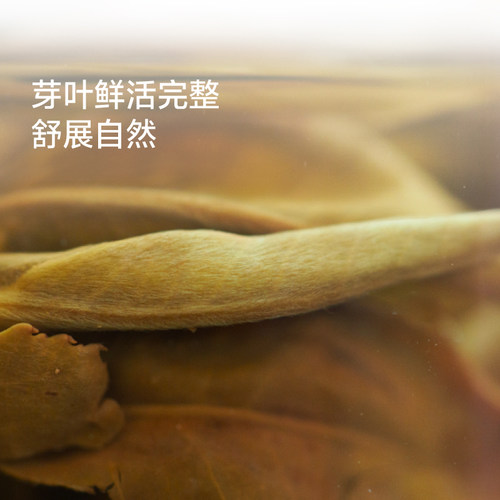 【甜白 白茶】云寿紧压饼茶云南老树白茶|吉普号大叶种茶叶月光 - 图1