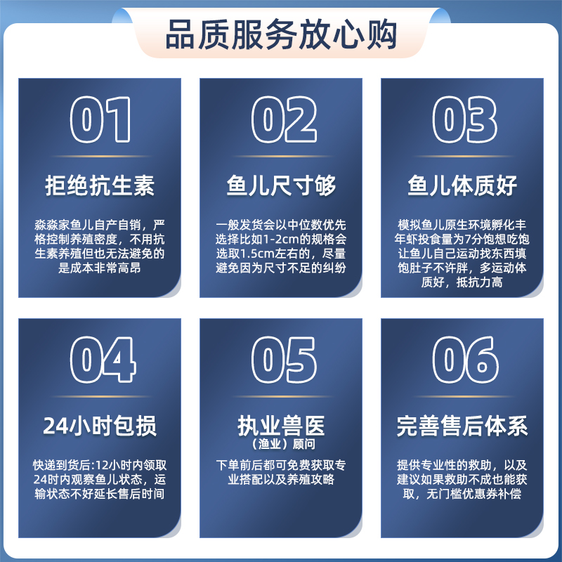 莫斯科蓝孔雀鱼冰蓝大尾大背精品纯种小型热带观赏下崽怀孕母活鱼 - 图2