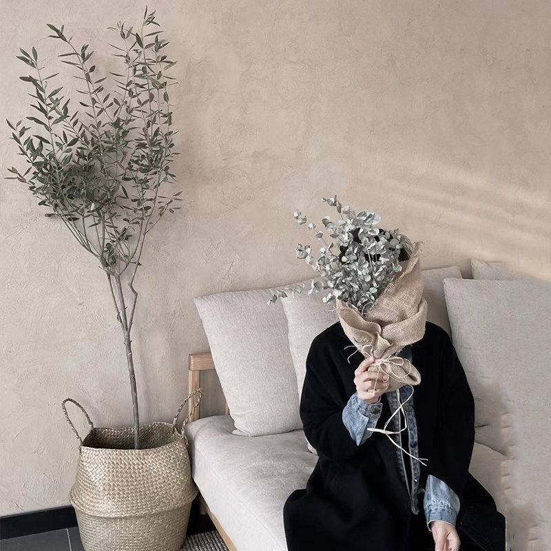 油橄榄树盆栽花卉大盆景办公室开业室内客厅乔迁落地绿植大型植物,淘宝优惠券,粉丝福利购,淘宝优惠卷