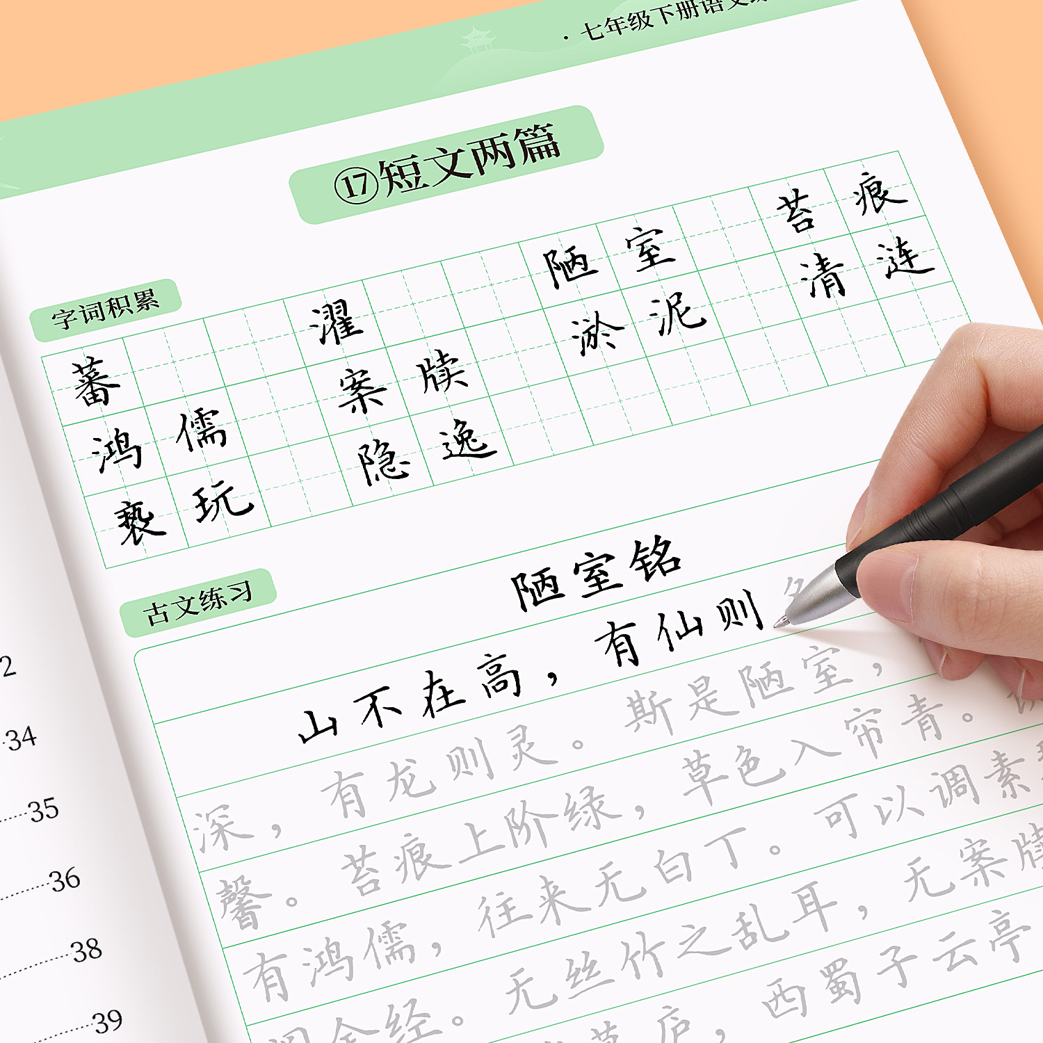 2026新版七年级语文字帖上册下册同步人教版初一练字帖贴小升初中学生初中生八九年级专用字帖练字每日一练正楷楷书临摹练字本帖