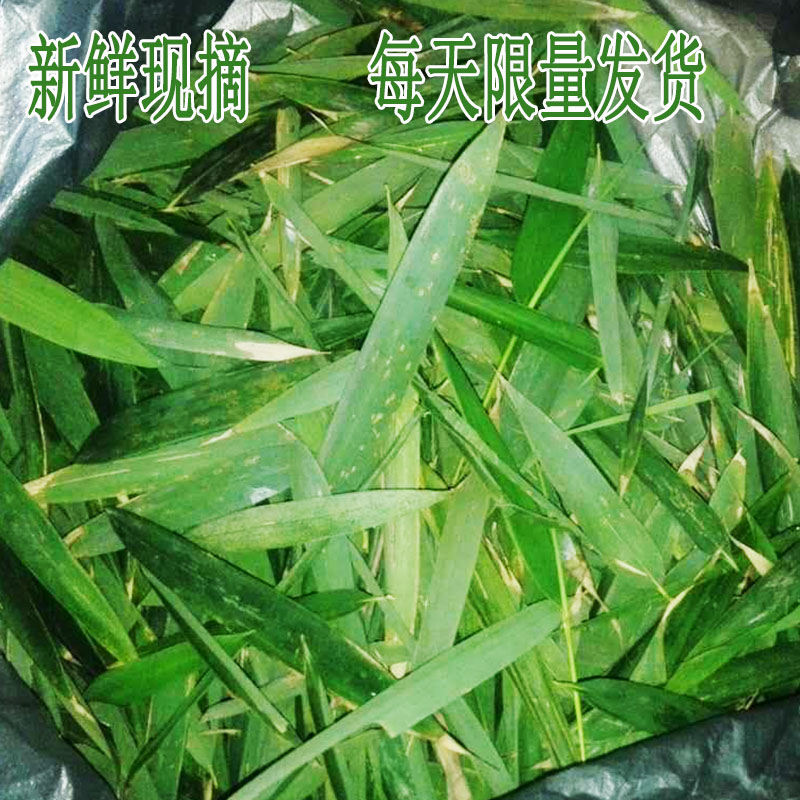 贵州正宗干苦竹叶50g新货竹叶茶手工采摘自然晾晒-图1