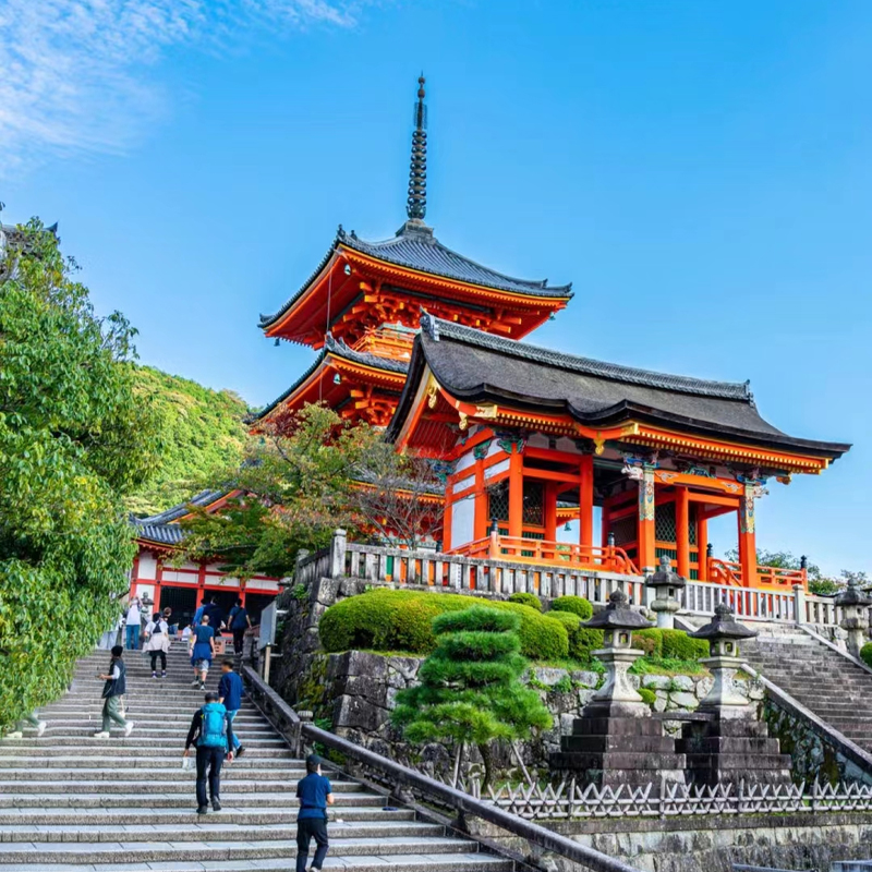 日本跟团游东京富士山镰仓大阪京都奈良8天7晚私家团日本旅游-图1