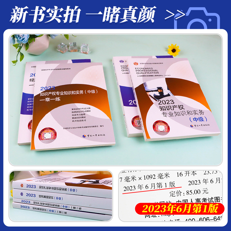 备考2024年中级经济师教材+一章一练4本经济基础知识+知识产权专业知识与实务2023年版全国经济专业资格考试用书人事社习题集 - 图1