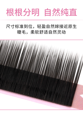 长睫猫婴儿直单根扁毛零翘度直毛