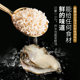 Oyster crystal oyster fresh seasoning without additives for cooking