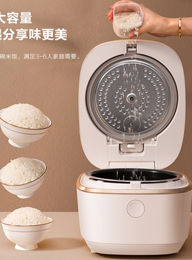 格力3l自动米汤分离低糖电饭煲