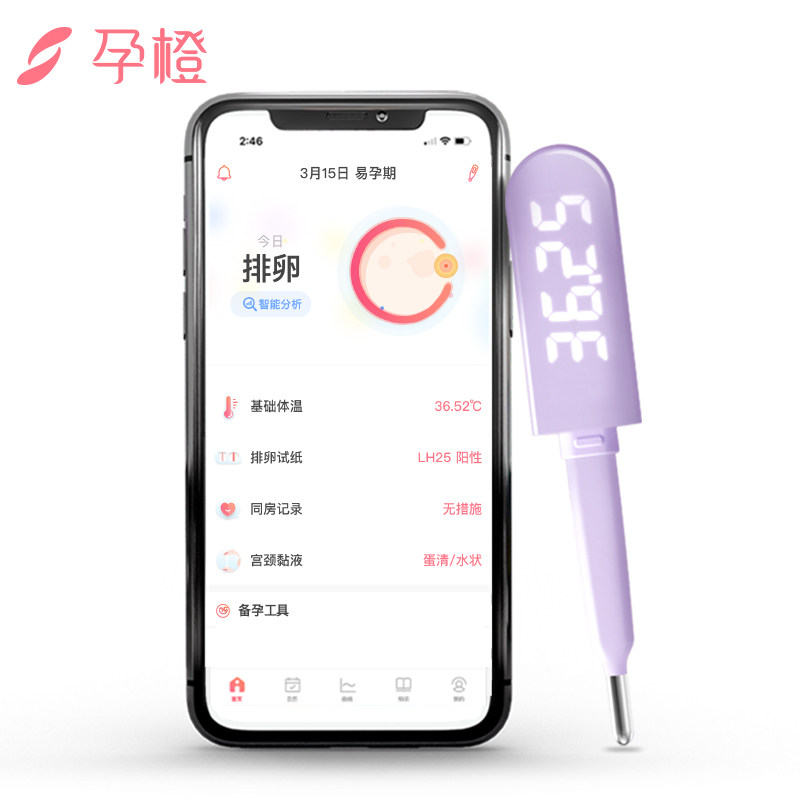 孕橙智能排卵笔测排卵期基础体温计 孕橙体温计类