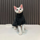 German Hairless Cat Autumn and Winter Thickened Mink Velvet Basement