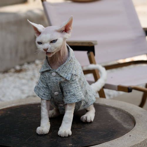 任发财可爱猫头衬衫无毛猫衣服德文衣服斯芬克斯猫纯棉透气 - 图1