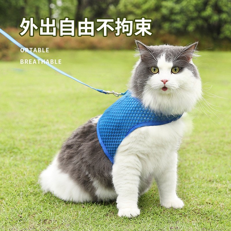 背心式猫咪牵引绳防挣脱外出专用溜猫胸背带可调节宠物透气遛猫绳,淘宝优惠券,粉丝福利购,淘宝优惠卷