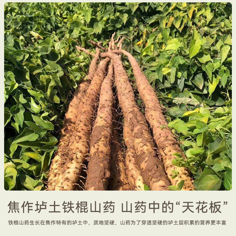 妈妈的茶河南铁棍山药片煮水煲汤炖煮怀山药干货中药材脾胃养生,淘宝优惠券,粉丝福利购,淘宝优惠卷