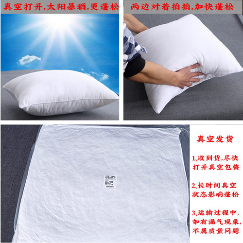 抱枕芯50 45抱枕心正方形内芯靠垫芯长方形靠枕芯60x60内胆可定做 - 图2