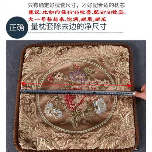 抱枕芯50 45抱枕心正方形内芯靠垫芯长方形靠枕芯60x60内胆可定做 - 图0