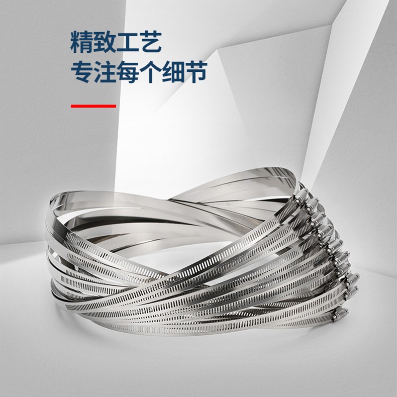 304不锈钢卡箍抱箍强力固定接口调节管夹管箍烟管喉箍紧固卡扣锁 - 图1