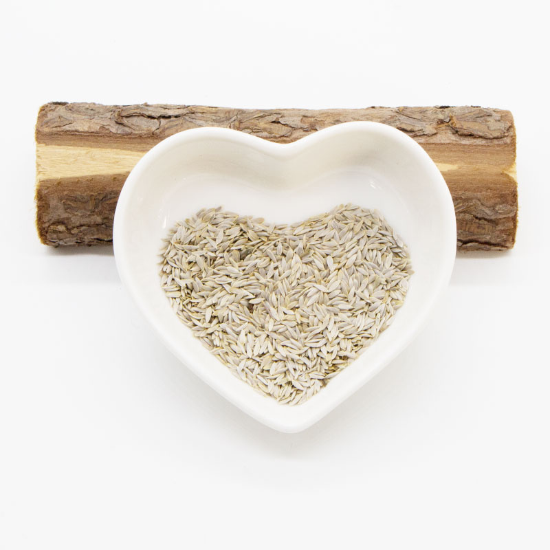 奶油脆生菜种子光滑酥脆鲜嫩甜美沙拉叶菜传家宝四季阳台室内盆栽 - 图2