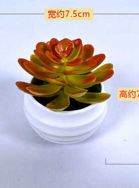 仿真多肉植物假花盆栽小摆件装饰