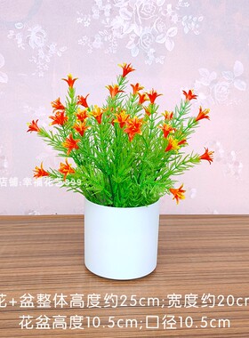 客厅仿真花摆设塑料红掌小盆栽