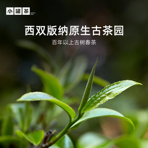 小罐茶金罐云南特级普洱茶熟普黑茶茶叶礼盒装商务送礼长辈10罐