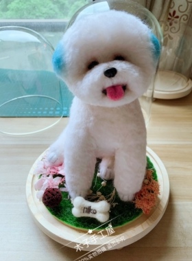 纯手工摆件微景观羊毛毡