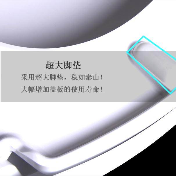 通用TOTO马桶盖 SW766B 781RPB 851 CW762 763 162 860NJ盖板 - 图0