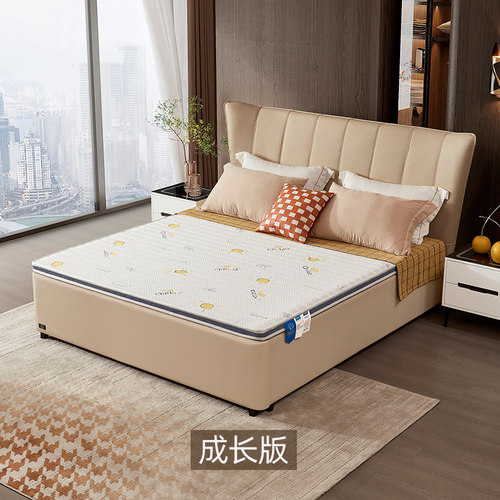 长城床垫护脊偏硬环保3E棕垫儿童经济型可定做折叠薄垫 - 图1