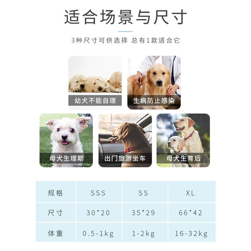 [Big Dog Special] Большие собаки и собаки в подгузниках достаточно с золотыми ретрадами.