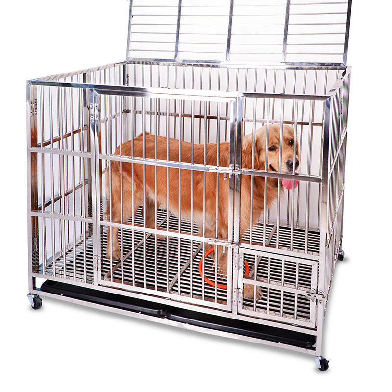 golden retriever cage