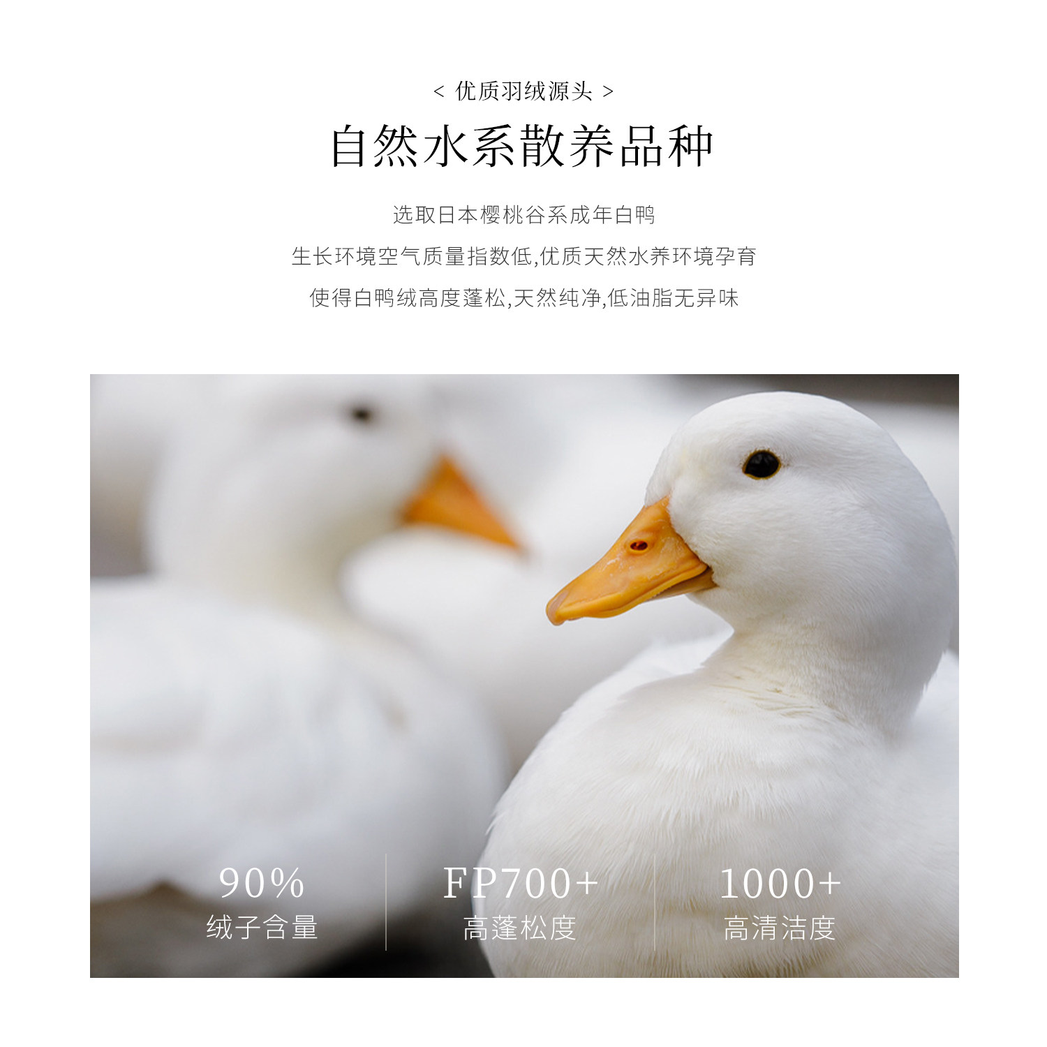 Interlagos日本羽绒枕头枕芯防螨成人护颈枕枕头单人五星级酒店枕