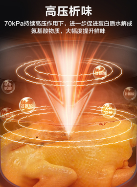 美的双胆电压力锅电高压锅电饭煲