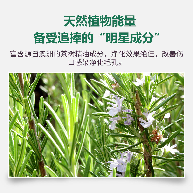 thursday plantation星期四农庄 ThursdayPlantation海外单方精油