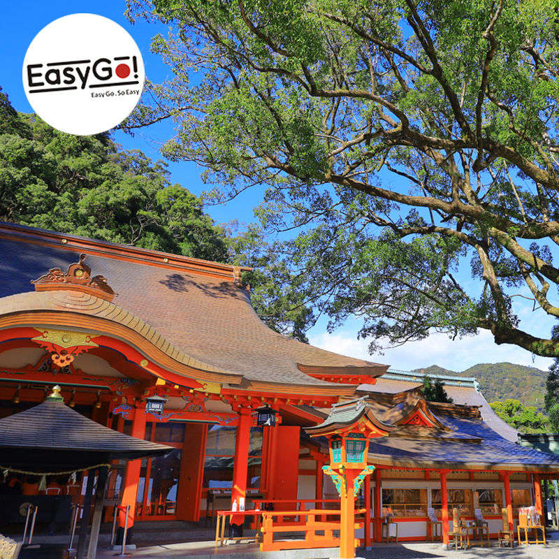 Easygo日本旅游名古屋出发熊野古道世遗那智瀑布青岸渡寺一日游-图2