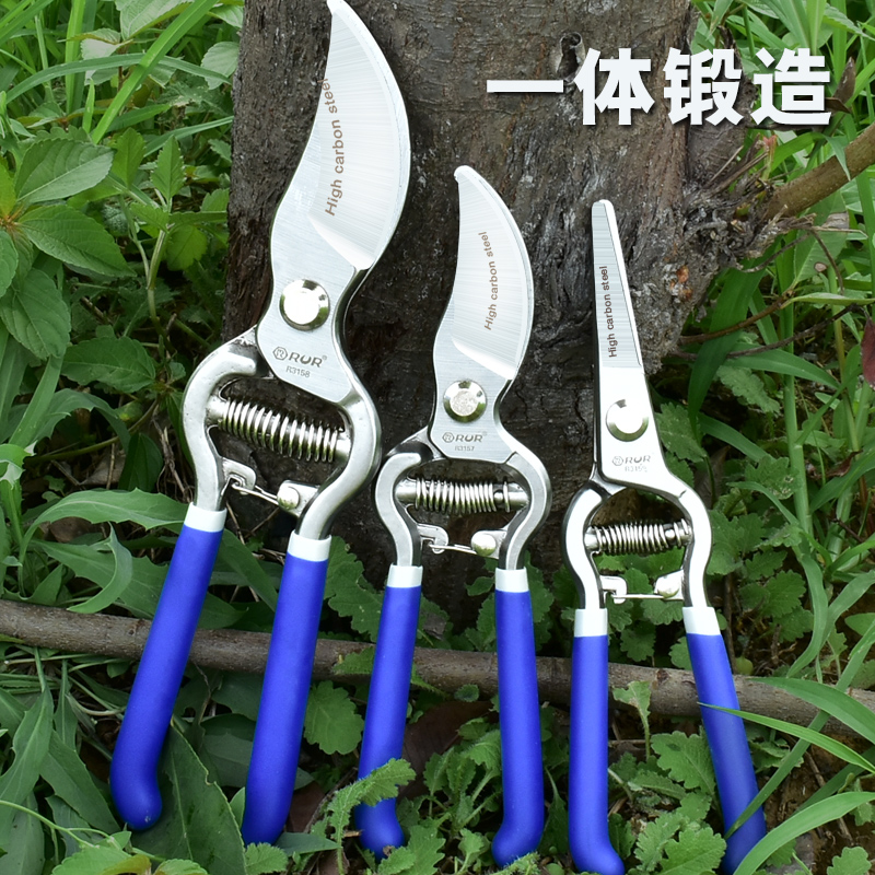 剪枝果树修枝剪刀园艺园林修花