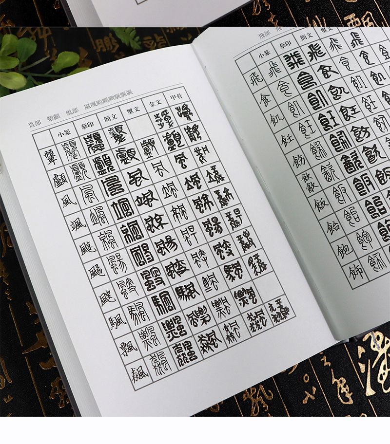 篆刻常用反字字典+篆刻常用字典正反2册小篆简文玺文金文甲骨文对照中国篆刻大字典篆刻入门常备工具书正版教材西泠印社出版社-图1