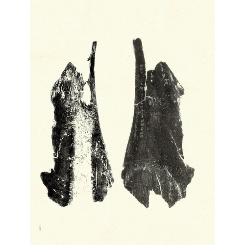 安阳博物馆藏甲骨 收录安阳博物馆馆藏全部甲骨446片 正反原大拓片摹本考古图版释文部笔画部首字形检索表高清图片 西泠印社出版社 - 图1
