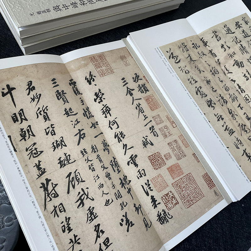 历代碑帖精选丛书全10册 收录书法史代表性名家苏轼米芾赵孟頫黄庭坚王羲之书法作品赏析 行书行草楷书毛笔书法临摹范本简体旁注