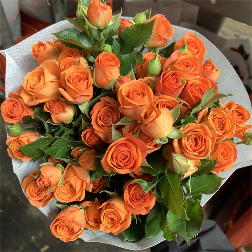 折射多头泡泡小玫瑰云南昆明基地直发鲜花花束百合情人节同城配送 - 图1