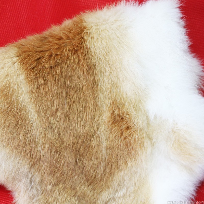 清仓处理兔皮整张家兔獭兔毛皮原料护膝沙发飘窗坐垫内胆DIY饰品,淘宝优惠券,粉丝福利购,淘宝优惠卷