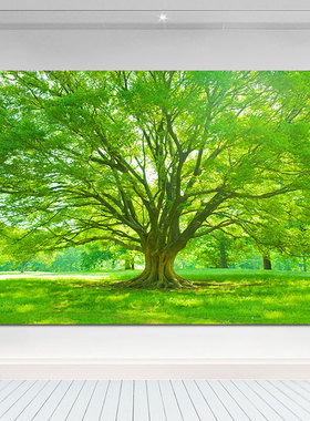 树林森林田园自然风景大挂画阳光树木公园绿色养眼护眼装饰贴墙画