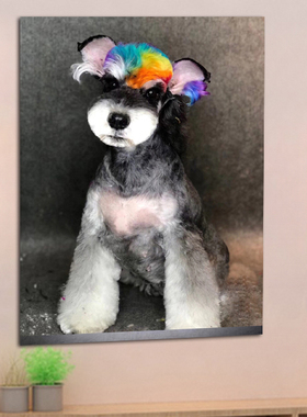 宠物美容造型狗挂图名犬小狗狗海报kt板画宠物店海报装饰墙贴定制