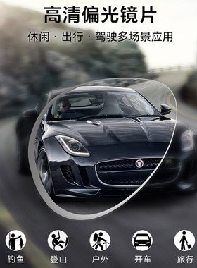 龙暴风偏光太阳镜男开车专用墨镜