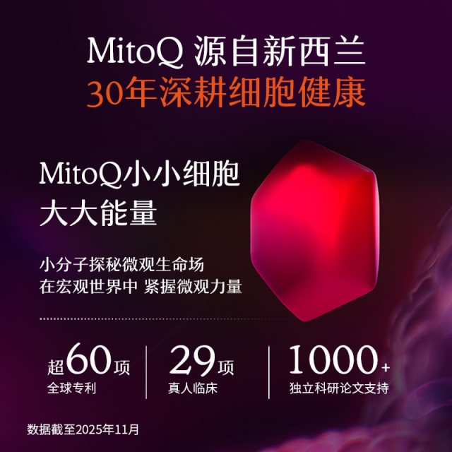 MitoQ milk thistle capsules ເນັ້ນໃສ່ສຸຂະພາບຕັບ